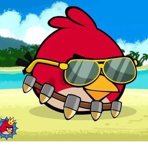 Meet your Posher, Johnny